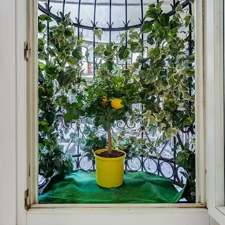 Via Condotti Private Roma